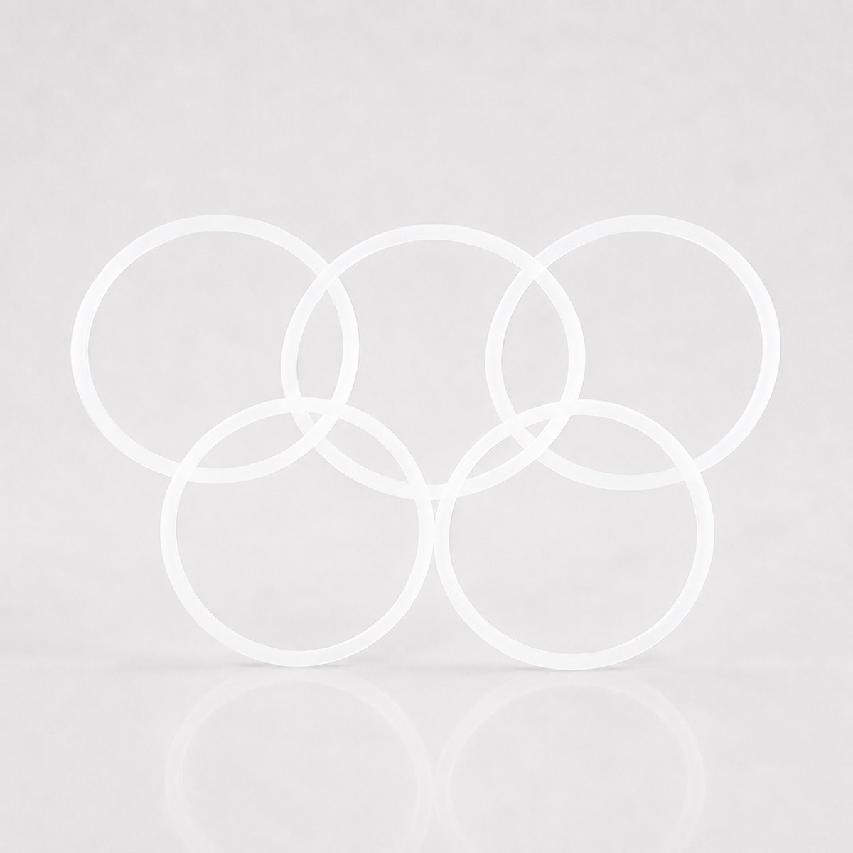 PURE Feed Chute O-Rings