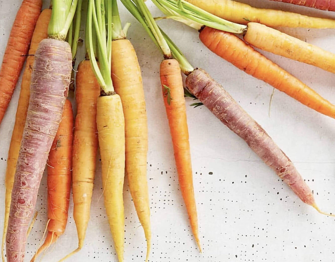 Bunches of orange, yellow and purple carrots